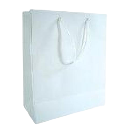 GIFT BAG SOLID COLOR MEDIUM WHITE