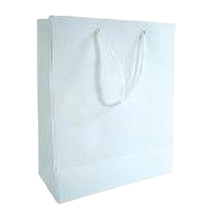 GIFT BAG SOLID COLOR MEDIUM WHITE