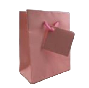 GIFT BAG SOLID COLOR SMALL PINK