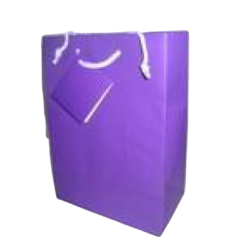 GIFT BAG SOLID COLOR LARGE PURPLE