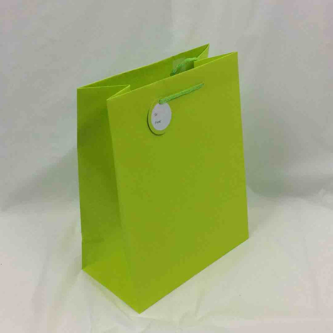 GIFT BAG SOLID COLOR LARGE APPLE GRN